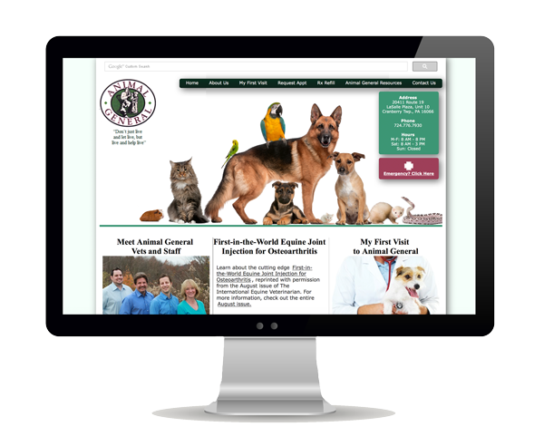 Animal General Website Design Information Picture