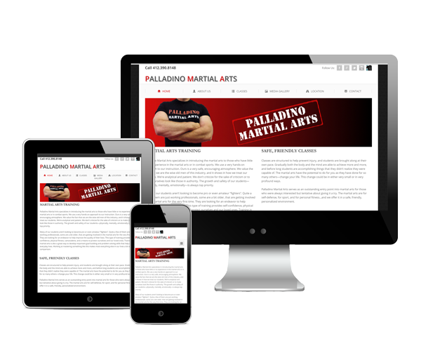 Palladino Martial Arts Website Design Information Picture